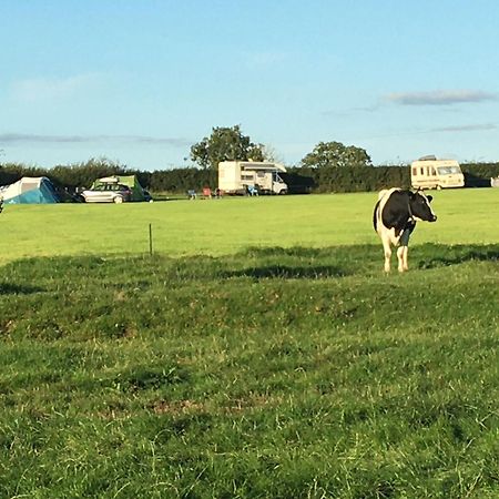 Carreg Y Gwynt Campsite - Touring And Tent Pitches Hotell Llanarth  Eksteriør bilde