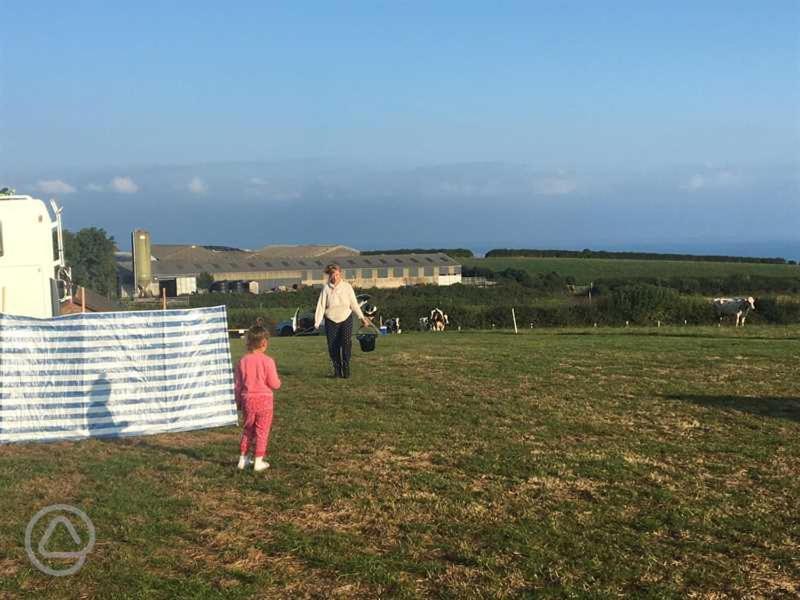Carreg Y Gwynt Campsite - Touring And Tent Pitches Hotell Llanarth  Eksteriør bilde