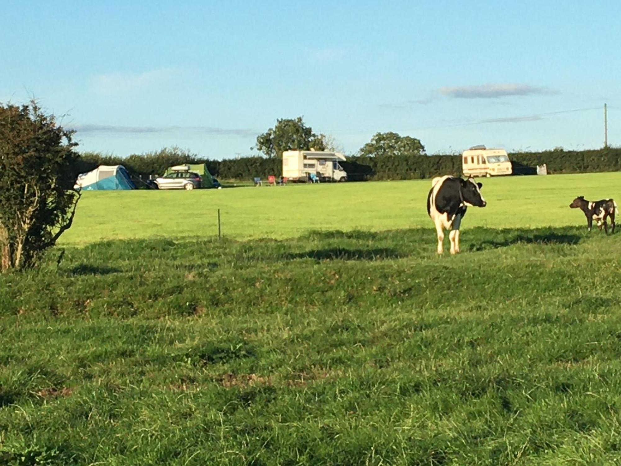 Carreg Y Gwynt Campsite - Touring And Tent Pitches Hotell Llanarth  Eksteriør bilde